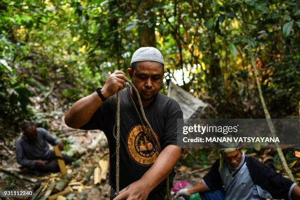 This photograph taken on February 11, 2018 shows traditional Malaysian honey hunters prepare ropes and wooden planks needed to fix a ladder for...