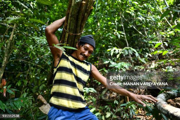 This photograph taken on February 11, 2018 shows traditional Malaysian honey hunters Abdul Samad Ahmad carrying wood to make ladder for harvesting...