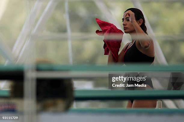 Mexican diver Paola Espinosa during her training in the pool of the National Center of High Performance on November 16 2009 in Mexico, City, Mexico.