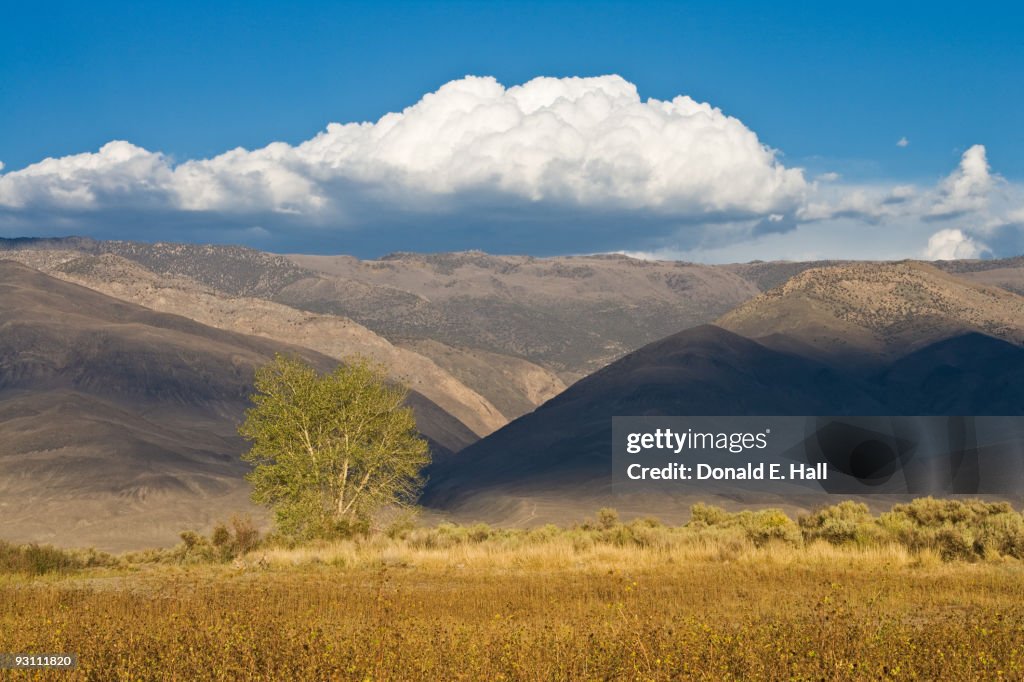 Cloud Over the White Mountains