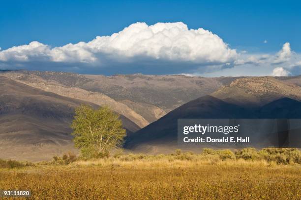 cloud over the white mountains - bishop foto e immagini stock