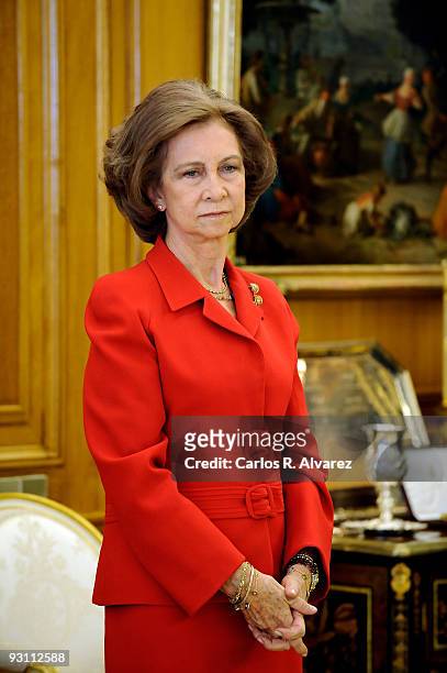 Queen Sofia of Spain attends Official Audiences at Zarzuela Palace on November 17, 2009 in Madrid, Spain.