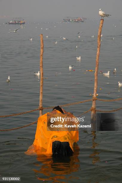 Female Hindu devotee takes a holy dip in Sangam which is the point of confluence of River Ganga, Yamuna and Mythological invisible Saraswati during...