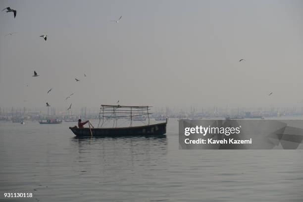 Seagulls fly in the sky over a boat with a man rowing in Sangam during Magh Mela Festival on January 27, 2018 in Allahabad, India. Sangam is the...