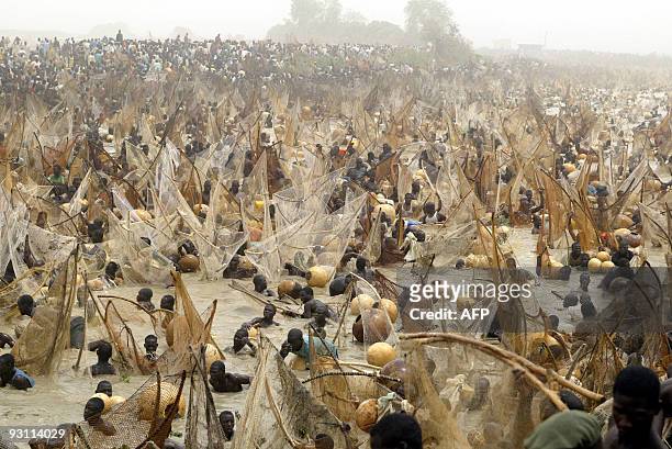 Fishermen fish 20 March, 2004 at the Argungu fishing festival. Over 30,000 fishermen mostly from Nigeria, Niger and Republic of Benin took part at...