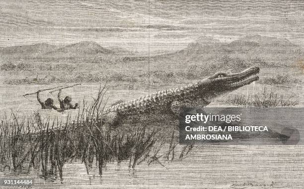 Hunting crocodile with hooks, drawing by Emile Antoine Bayard from Exploration of the Nile tributaries of Abyssinia, 1861-1862, by Samuel Baker ,...