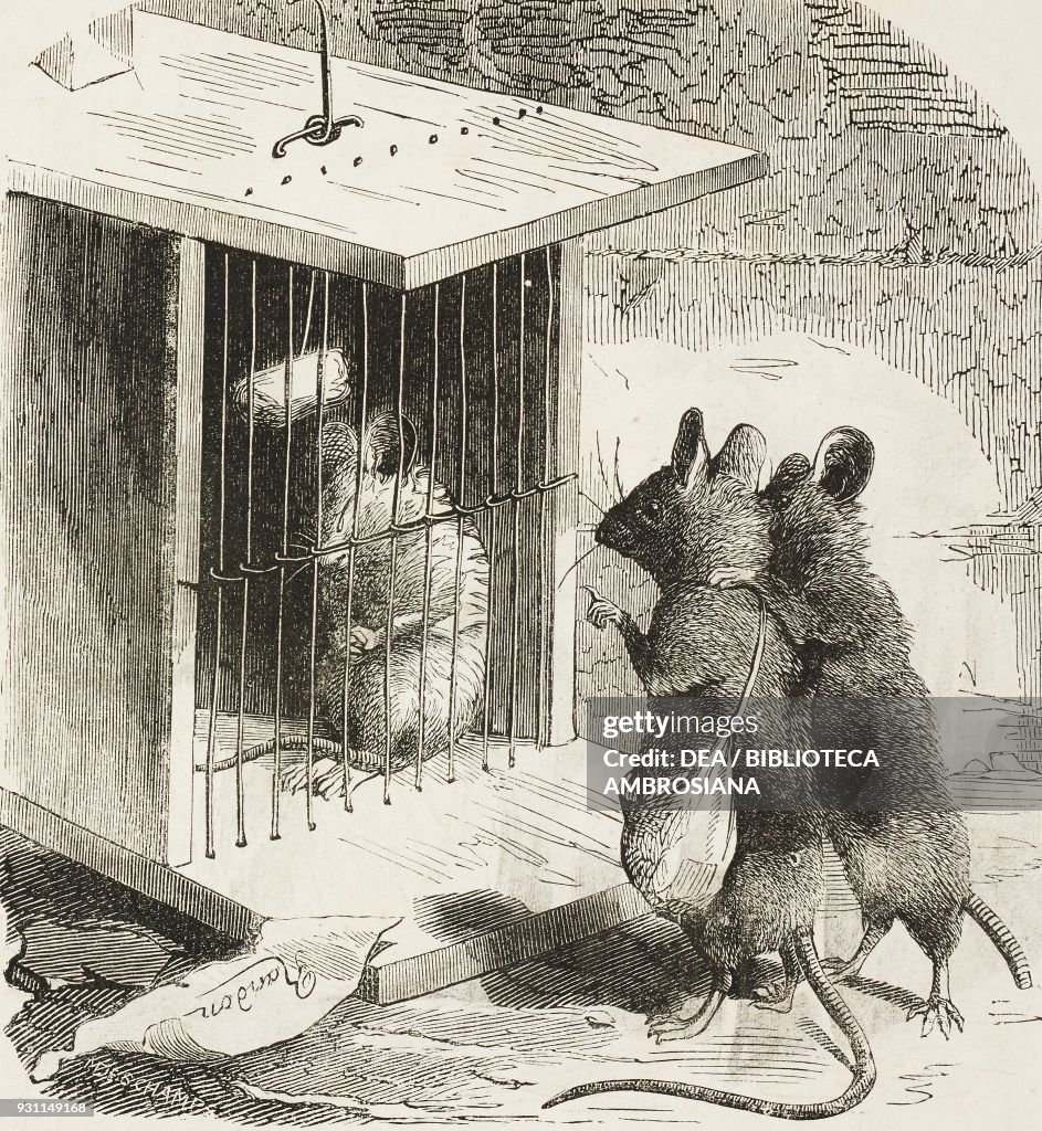 Animals' spirits: a trapped rat, the two that are outside say 'if... News Photo - Getty Images Animals' spirits: a trapped rat, the two that are outside say 'if... News Photo - Getty Images