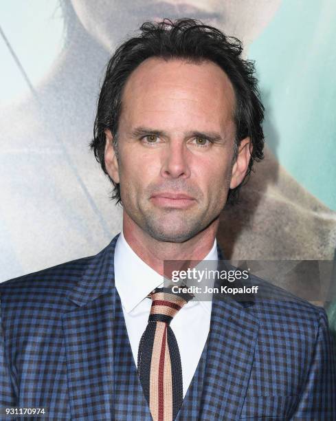 Walton Goggins attends the Los Angeles Premiere "Tomb Raider" at TCL Chinese Theatre IMAX on March 12, 2018 in Hollywood, California.