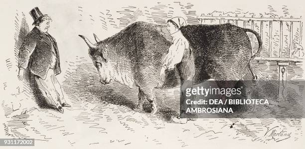 Fat ox, illustration by Valere Alphonse Morland from the Journal Amusant, No 528, February 9, 1866.