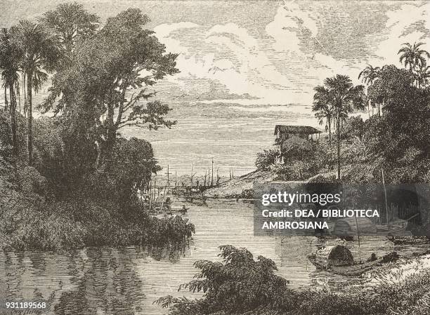 Amazon Two Rivers Draw 570 Amazon Rivers Stock Photos, High-Res Pictures, and Images - Getty ...