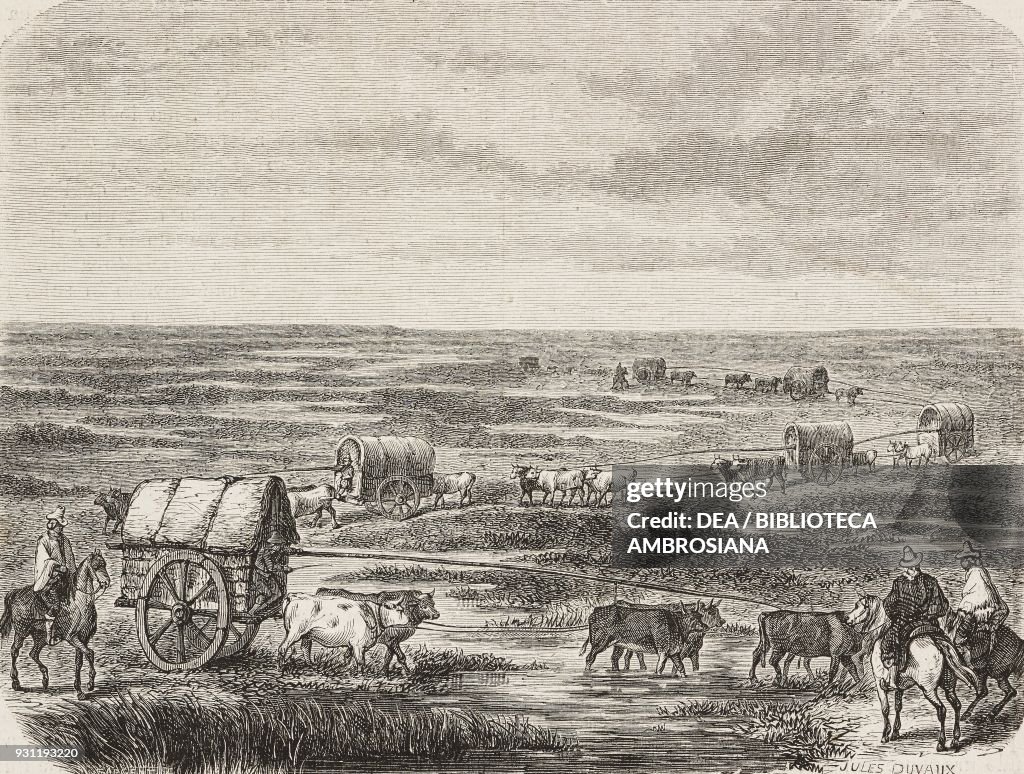 Caravan in the pampas, drawing by J Duveau