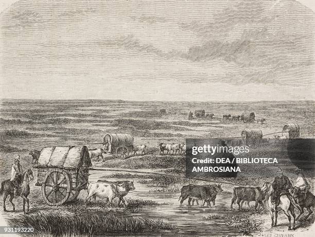 Caravan in the pampas, drawing by J Duveau, News Photo