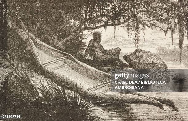 Amazon Two Rivers Draw 570 Amazon Rivers Stock Photos, High-Res Pictures, and Images - Getty ...