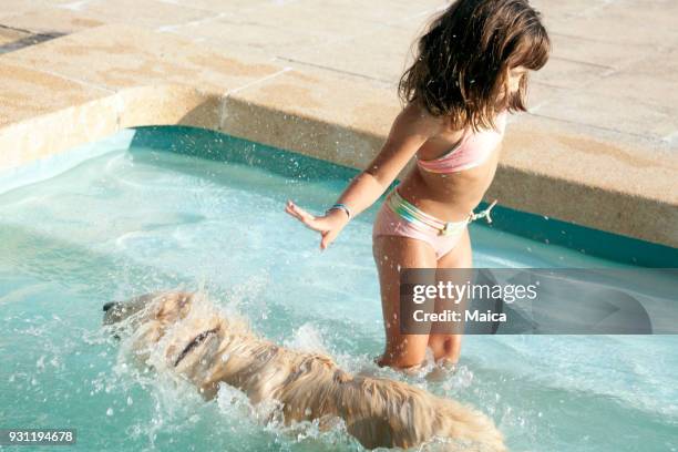 a vacation with my golden retriever friend - hairy-girl stock pictures, royalty-free photos & images