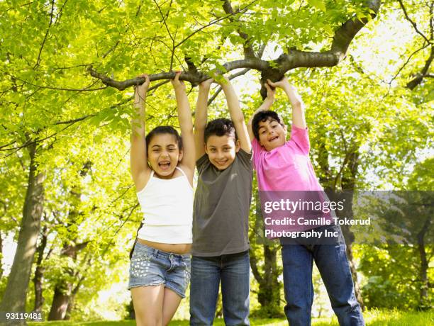 mixed race boys and girl hanging from tree branch - child raised arms age 3 stock pictures, royalty-free photos & images