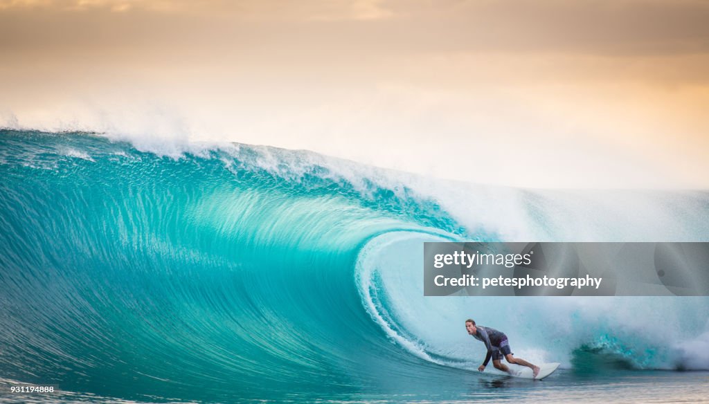 Surfing a the perfect wave in Indonesia