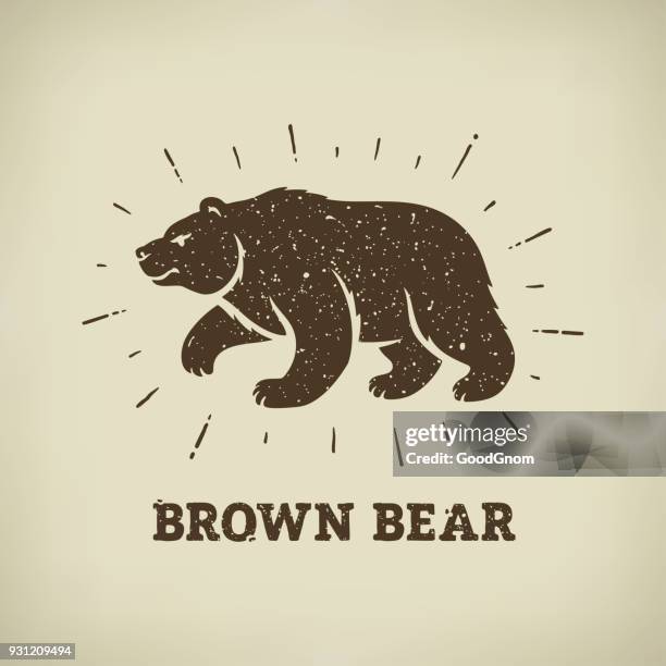 brown bear - bear isolated stock illustrations