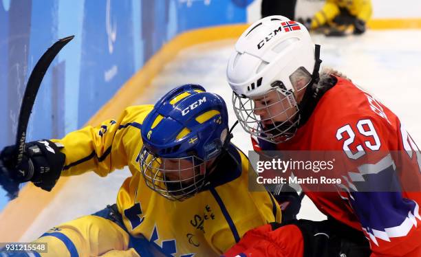 Lena Schroeder of Norway battles for the puck with Peter Nilsson of Sweden in the Ice Hockey Preliminary Round - Group A game between Norway and...