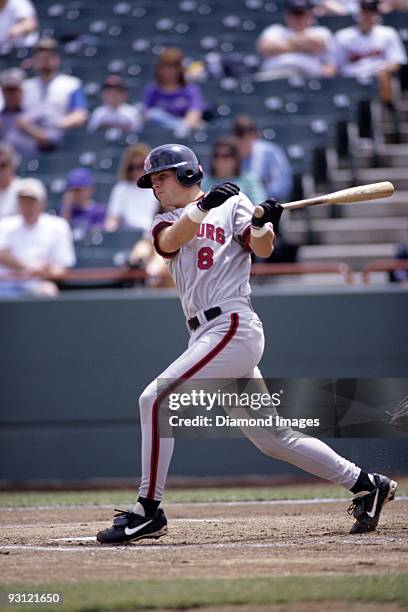 Catcher Michael Barrett of the Harrisburg Senators, Class AA affiliate of the Montreal Expos, swings at a pitch during a game in May, 1998 against...