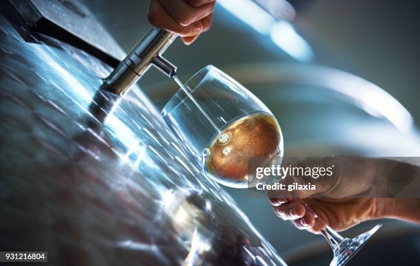 wijnproeven. - wijnbouw stockfoto's en -beelden