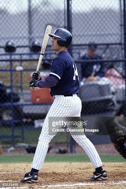 Thirdbaseman Mike Lowell of the New York Yankees at bat during a Spring Training game in March, 1998 at the Yankees' minor league complex in Tampa,...