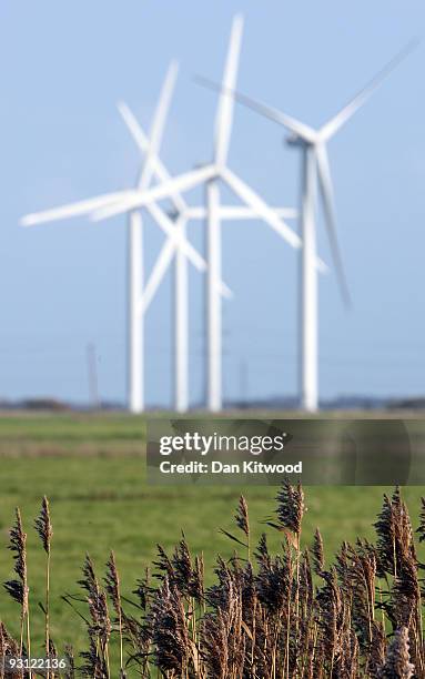 General view of Romney Marsh wind farm on November 17, 2009 in Dungeness, United Kingdom. As world leaders prepare to gather for the Copenhagen...