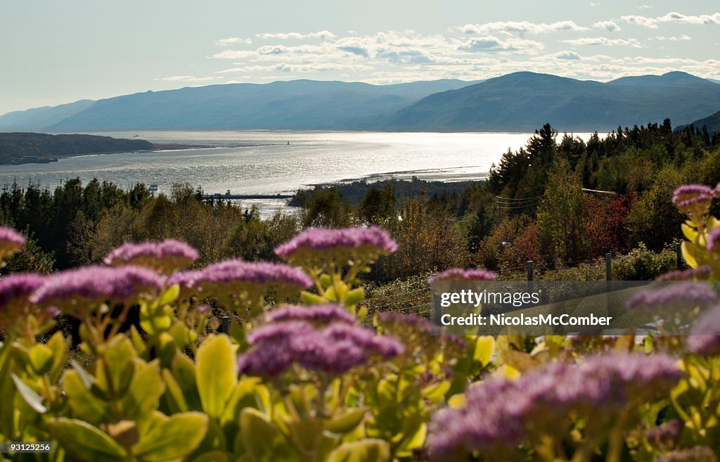 Charlevoix Landschaft mit stonecrop Blumen