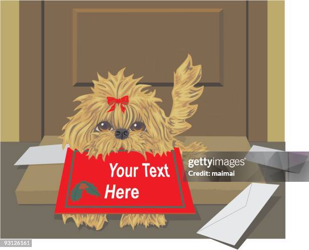 christmas special delivery - lhasa apso puppy stock illustrations