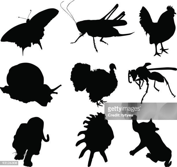 illustrations, cliparts, dessins animés et icônes de silhouettes d'animaux - groupe moyen d'animaux