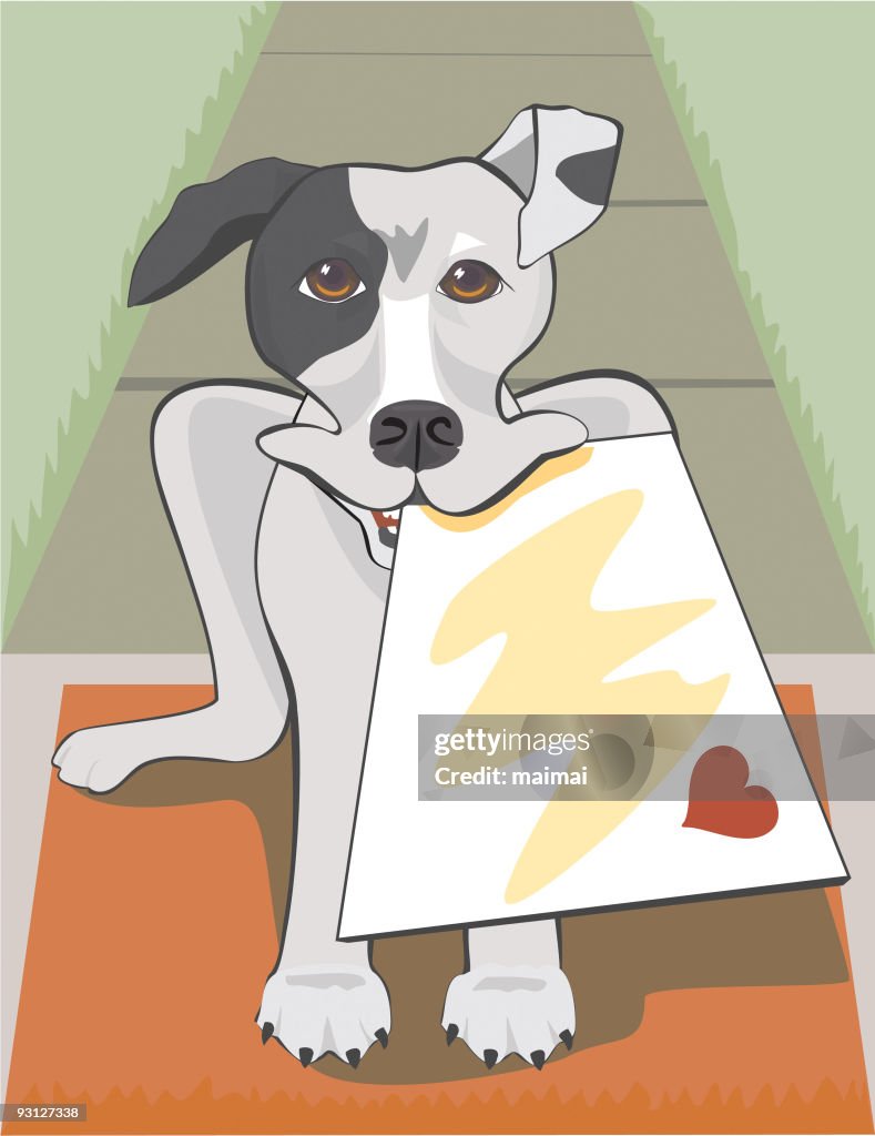 Jack Russel Terrier Delivering a Velentine Letter