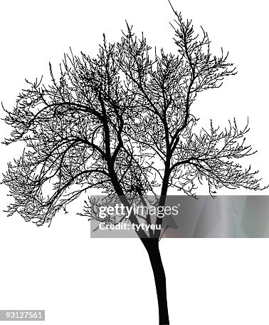 Vector plum tree shape Vector plum tree shape
