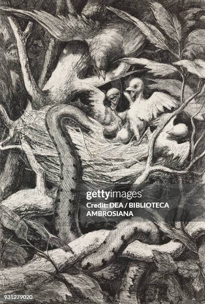 Snake in a nest, by Gustave Dore , illustration from Musee Francais-Anglais, n 32, August 1857.