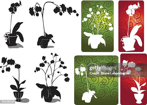 four different orchid silhouettes on white,green and red - orchids stock illustrations