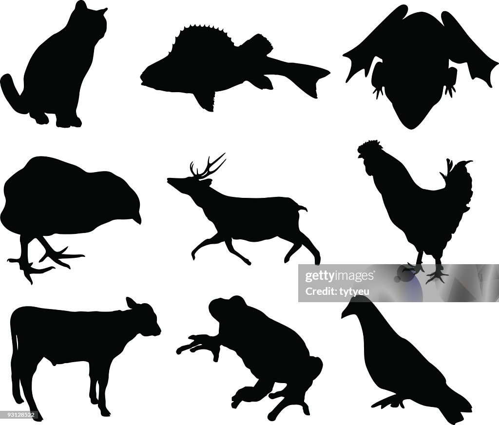 Tierische Formen