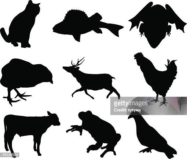 ilustraciones, imágenes clip art, dibujos animados e iconos de stock de formas de animal - wyandotte plateado