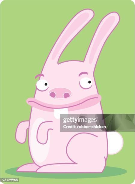 stockillustraties, clipart, cartoons en iconen met rabbit - buck teeth