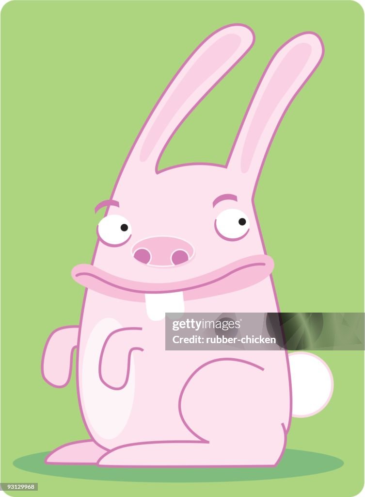 Rabbit