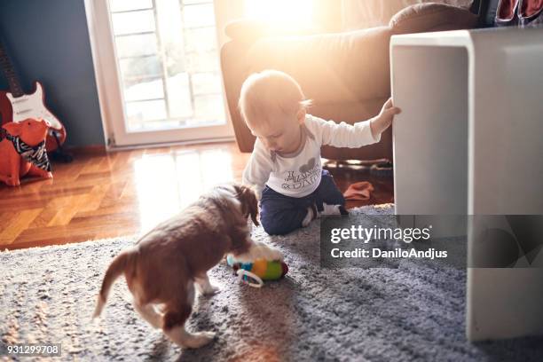 baby und sein baby hund begleiter des hauses erkunden - baby hund innenaufnahme stock-fotos und bilder