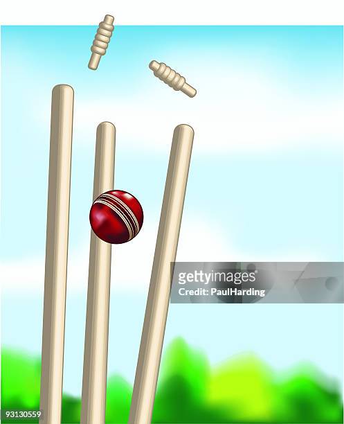 illustrations, cliparts, dessins animés et icônes de owzat - piquet de cricket