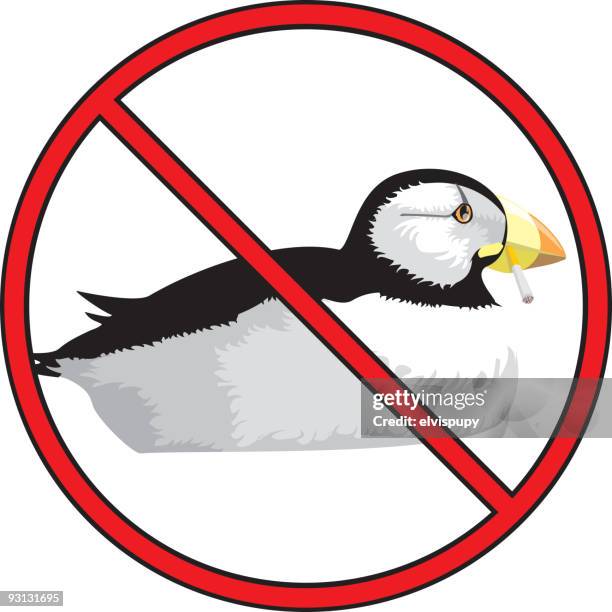 no puffin' - puffin stock illustrations