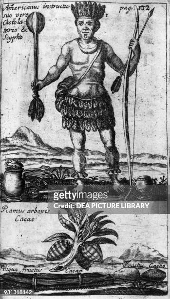 An American indian with a bow and arrows, with a cocoa plant in the lower section, engraving from Novi tractatus de potu caphe, de Chinensium the et...