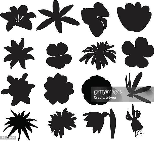 vektor blumen - ranunculus stock-grafiken, -clipart, -cartoons und -symbole