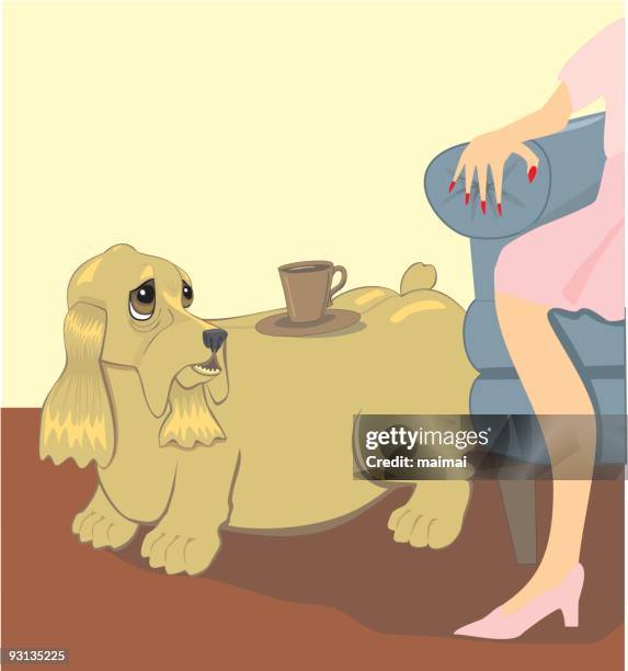 fat dog, cocker spaniel  - canine obesity - cocker spaniel stock illustrations