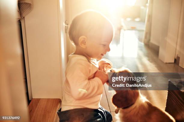 baby und sein bester freund zusammen spielen zu hause - raubtierjunges stock-fotos und bilder