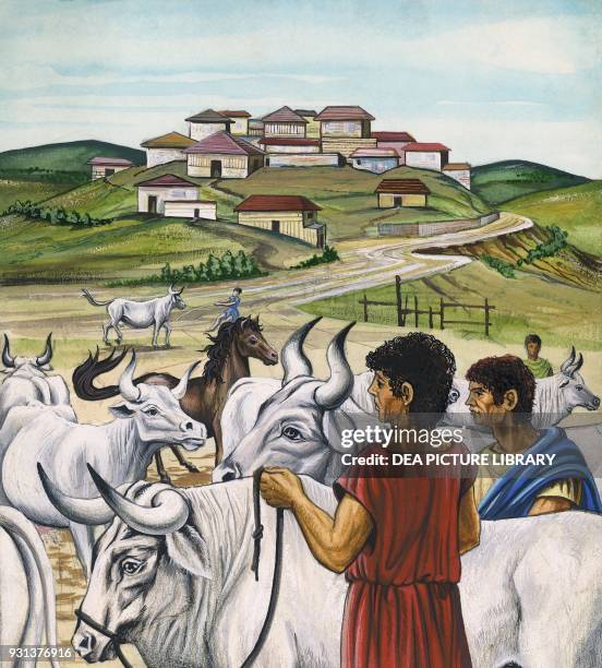 Roman Cow Ancient Roman Market Photos and Premium High Res Pictures - Getty Images
