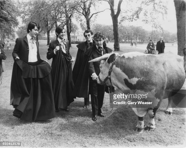 Spanish rock band Los Brincos play at bullfighting with Harold the bull in Hyde Park, London, 24th May 1967. They are drummer José Fernando Arbex...