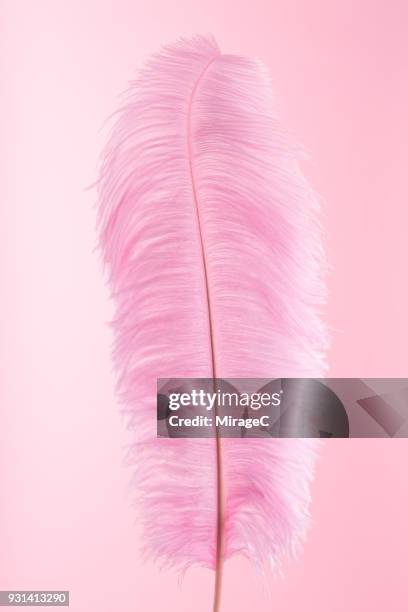 pink feather - pink feathers stock pictures, royalty-free photos & images