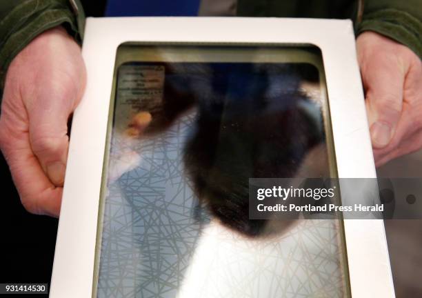 Alan Thibeault, University of New England's assistant vice president of planning, displays a pane of bird-proof glass in this contrast-enhanced...