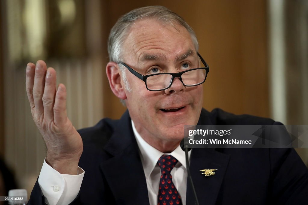 Interior Secretary Ryan Zinke Testifies To Senate Hearing On Department's Budget