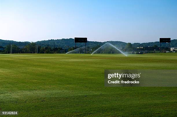 campo di calcio con goal di calcio al park - campo da cricket foto e immagini stock